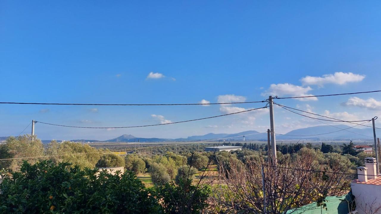 Makarios Apartment Near Athens Aiport Spáta エクステリア 写真