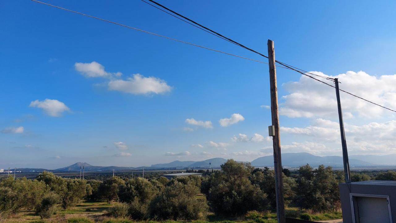 Makarios Apartment Near Athens Aiport Spáta エクステリア 写真